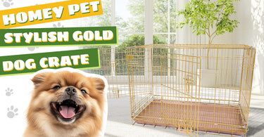 Why Invest in a Cage for Your Dog