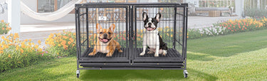 43" Dog Crate